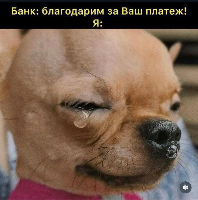 Вечерело... Дичка на завтра