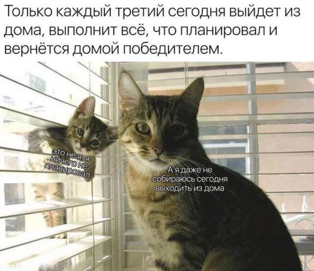 Вечерело... Дичка на завтра