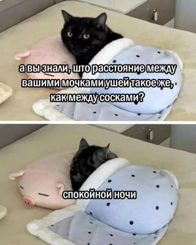 Вечерело... Дичка на завтра