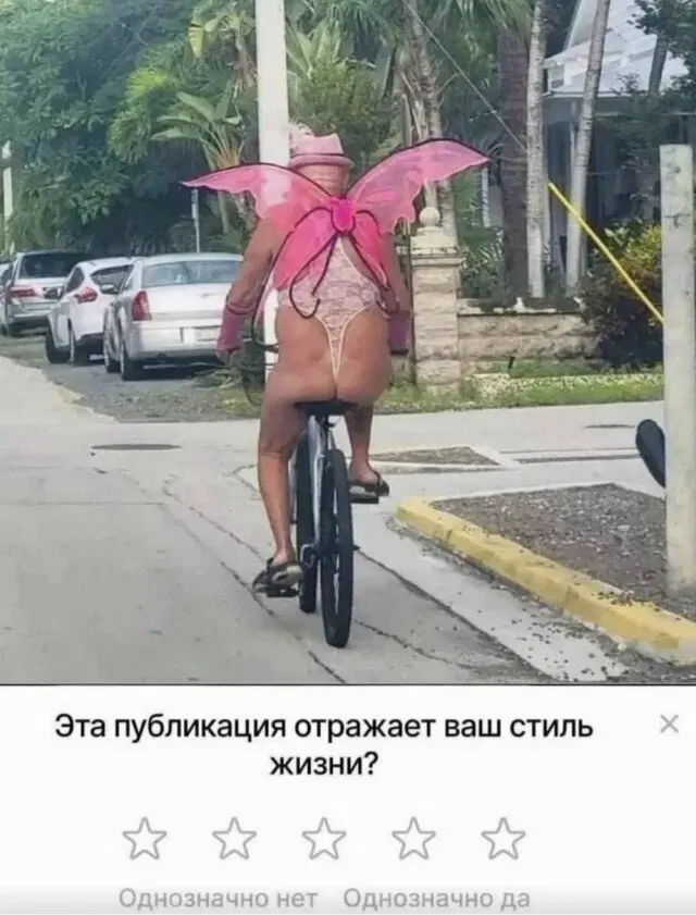 Дичи и счастья