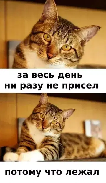 Дичи и счастья