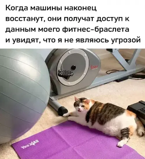 Дичи и счастья