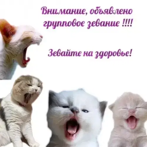 Дичи и счастья