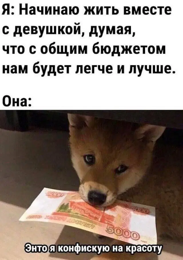 Дичи и счастья