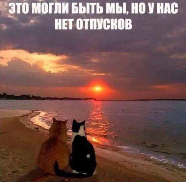 Дичи и счастья