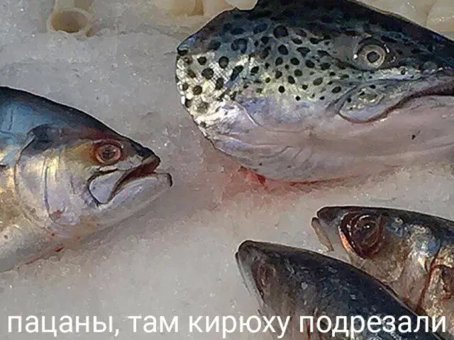 Дичи и счастья