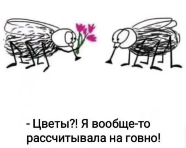 00.00 время Дички