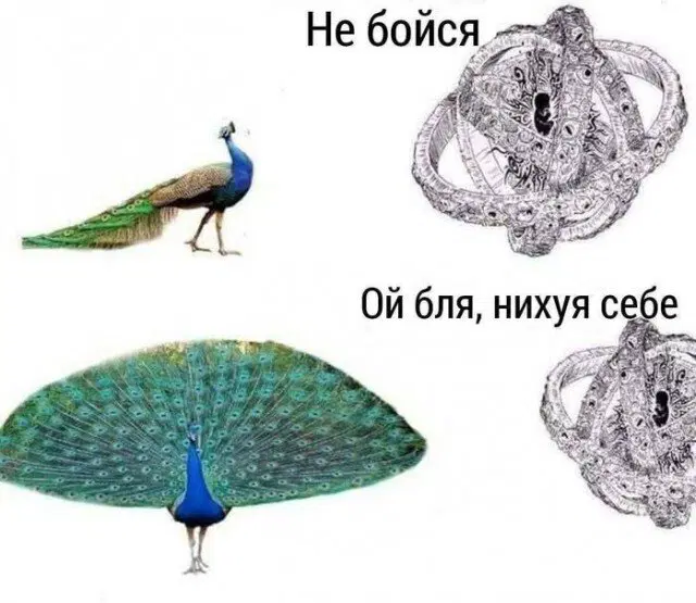 00.00 время Дички