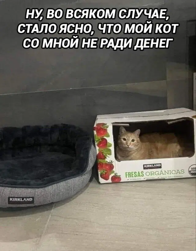 00.00 время Дички