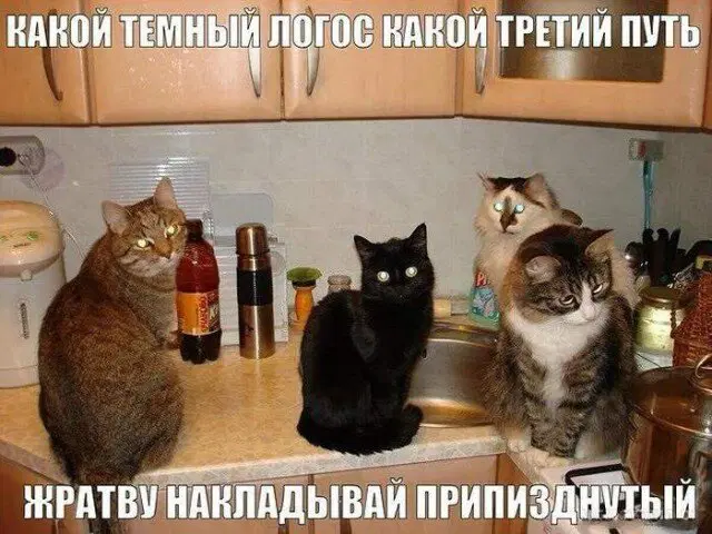 00.00 время Дички