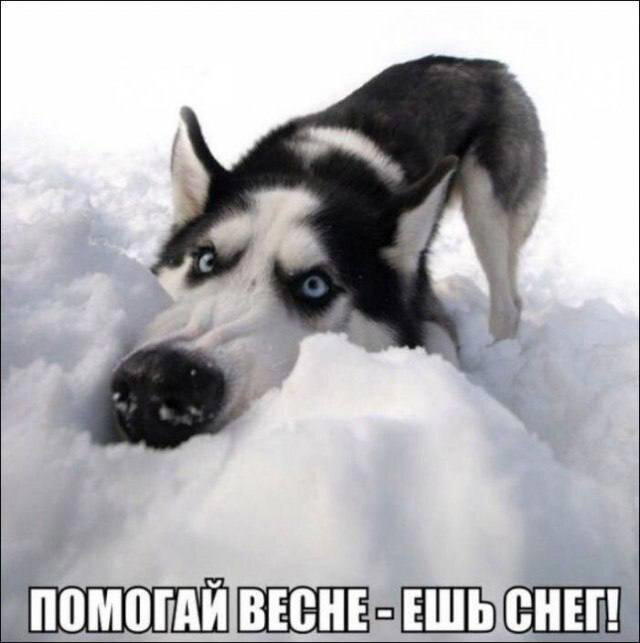 00.00 время Дички