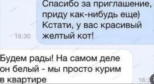 00.00 время Дички