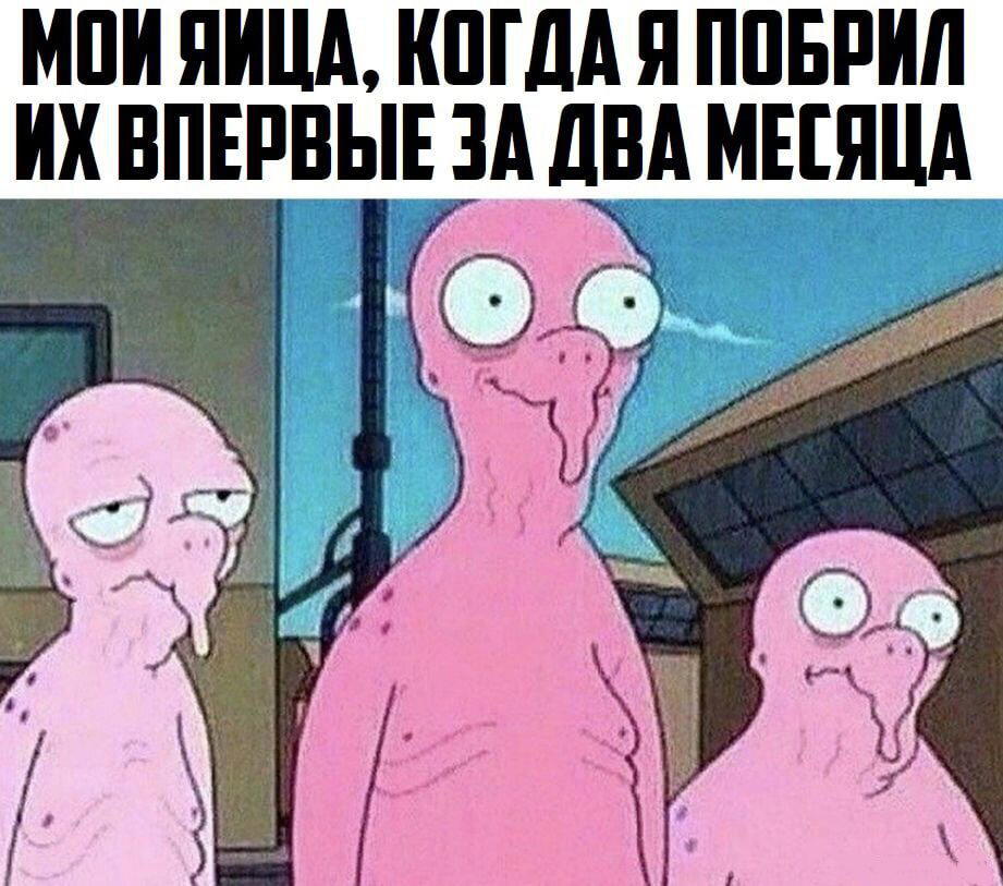 Много мемов про бритые яйца, а кто-то когда-то их хоть раз брил? Для чего?
