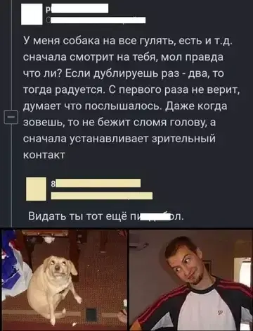 7 кто не успел с подарками, дарите дичку