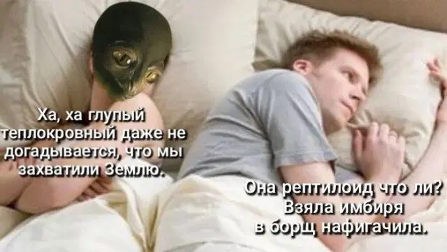 7 кто не успел с подарками, дарите дичку