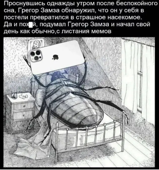 7 кто не успел с подарками, дарите дичку