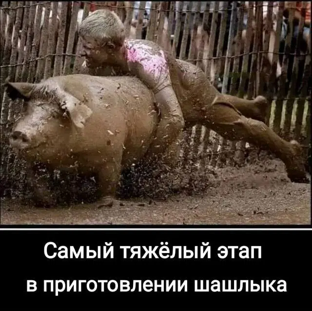 7 кто не успел с подарками, дарите дичку