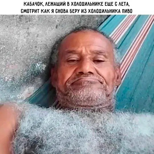 7 кто не успел с подарками, дарите дичку