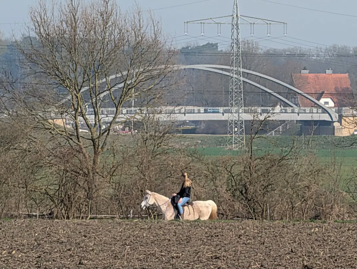 Ездят всадники