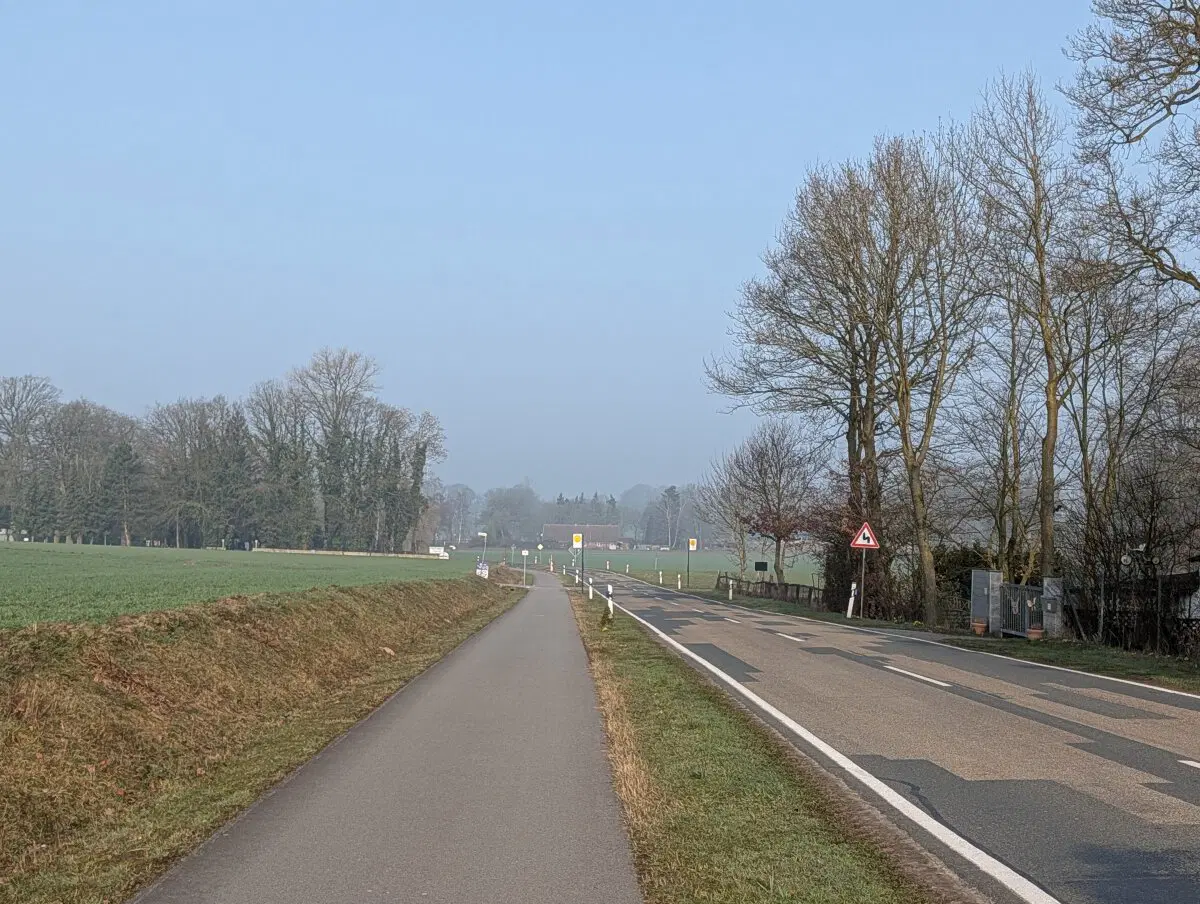 Люблю Германию за пешеходные дорожки 