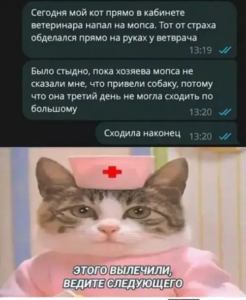 Дичка как мед не каждый поймет