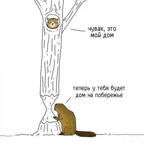 Дичка как мед не каждый поймет