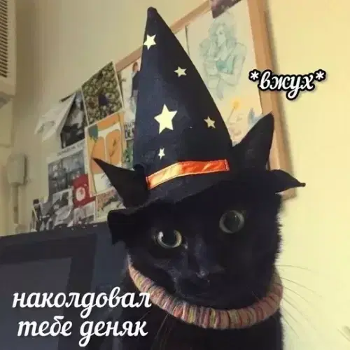 Дичка как мед не каждый поймет