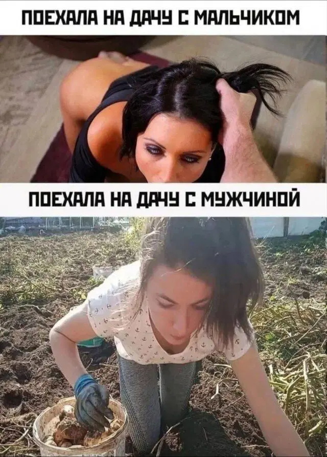 Дичка как мед не каждый поймет