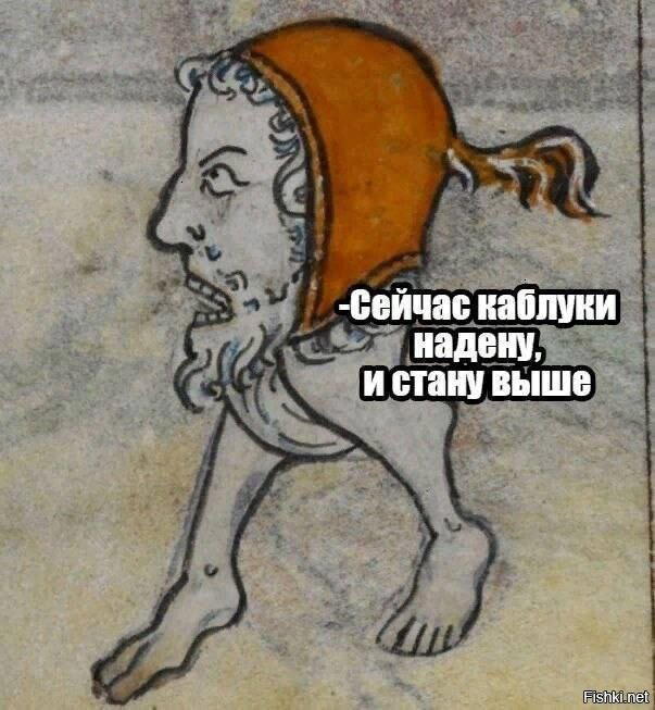 Дичка понедельнишная