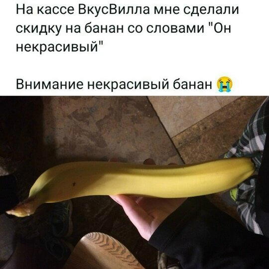 Дичка понедельнишная