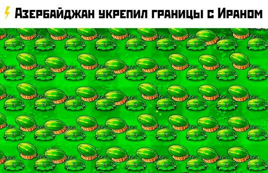 Дичка понедельнишная