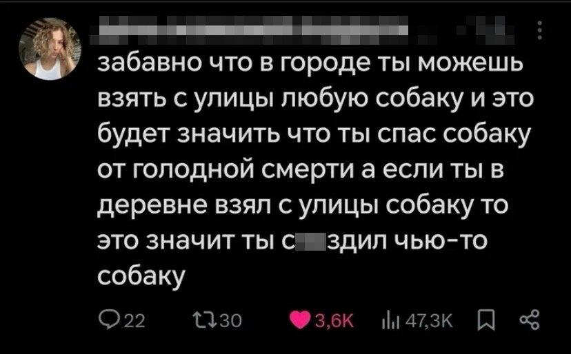 Дичка понедельнишная