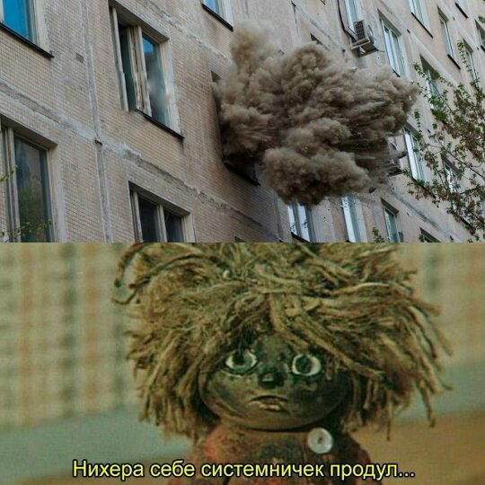 Дичка понедельнишная