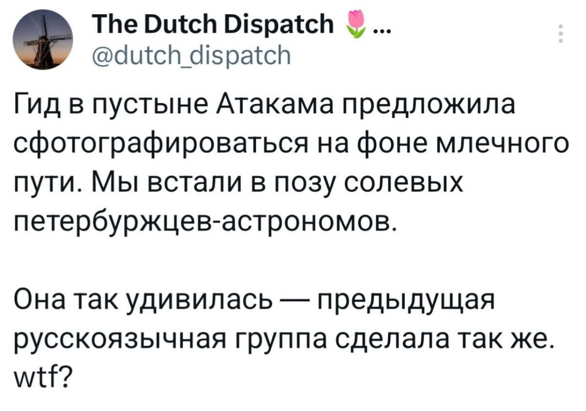 Дичка понедельнишная