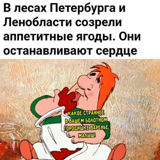 Дичка понедельнишная