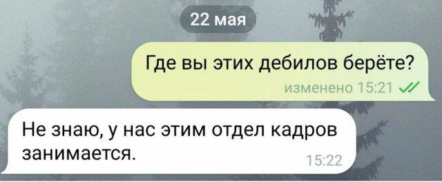 Дичка понедельнишная