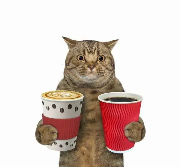 К кофе люди привыкают быстрее, чем к героину.