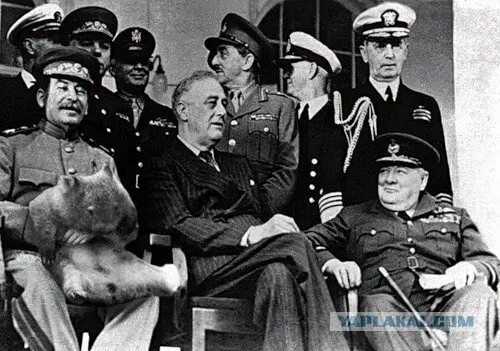 В предыдущем посте рассказвыалась история этой фотографии