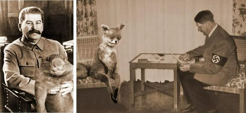 Сталин и вомбат часть 3