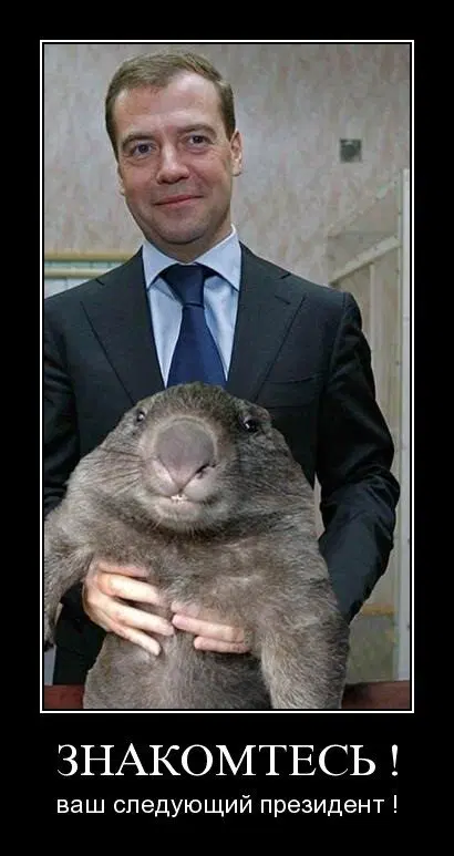 Сталин и вомбат часть 3