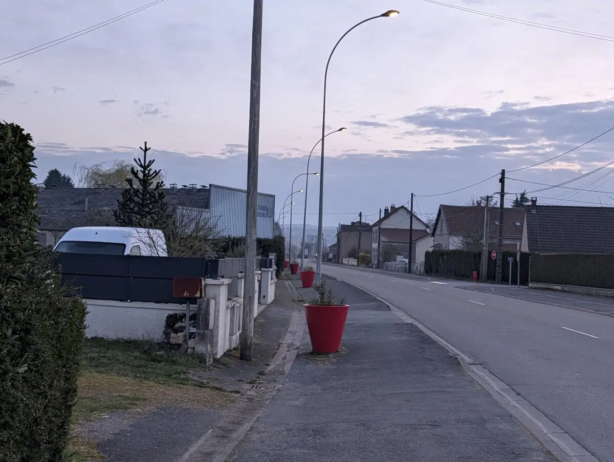 Кадки с цветами