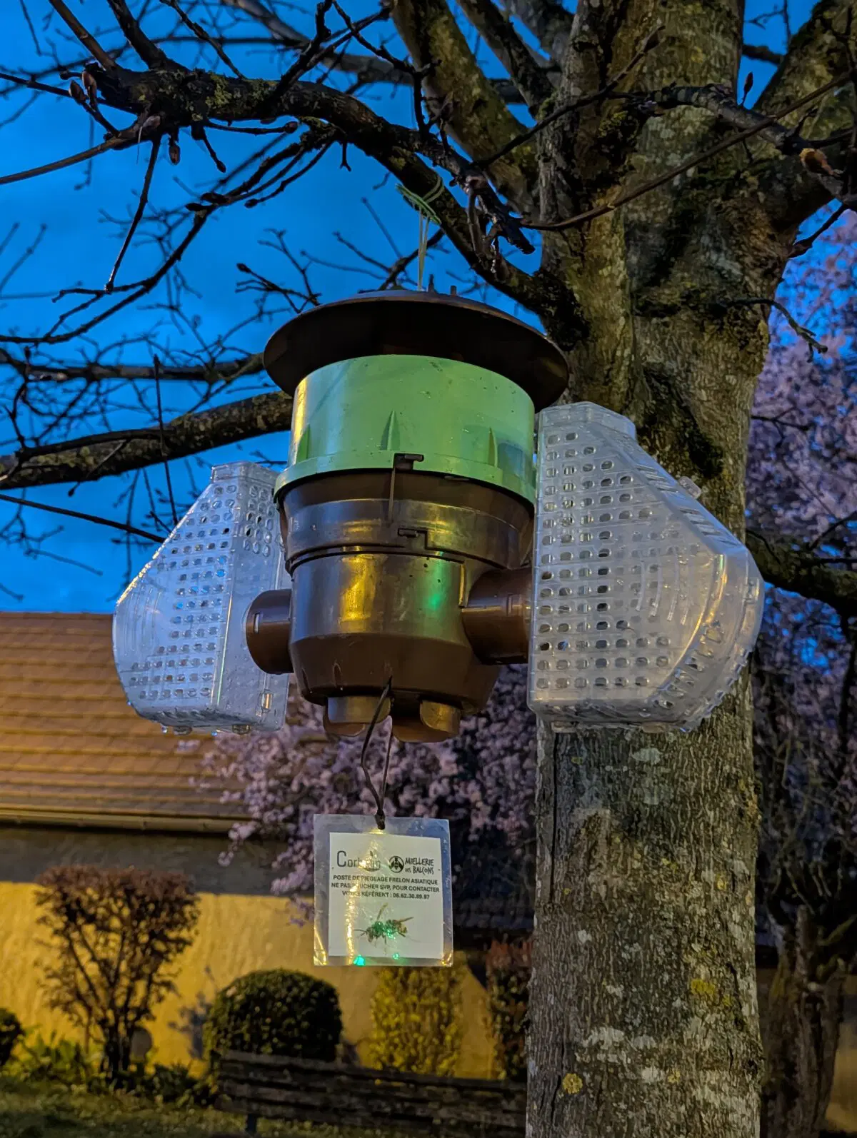 Штука, чтобы ловить шершней. 