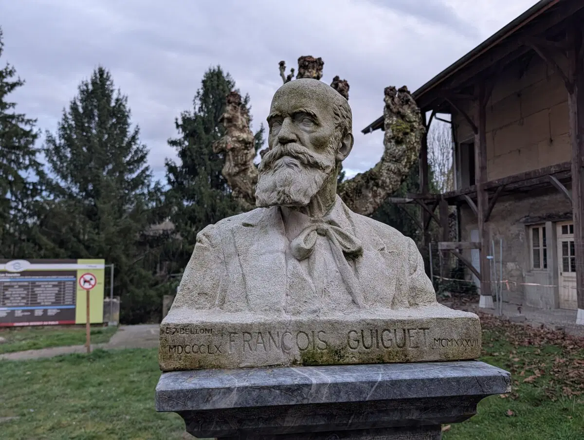 Какой-то месье