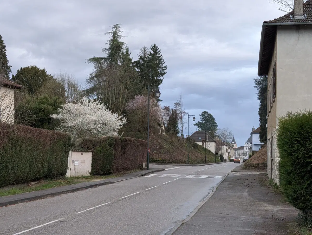 Все цветет, аромат стоит невероятный