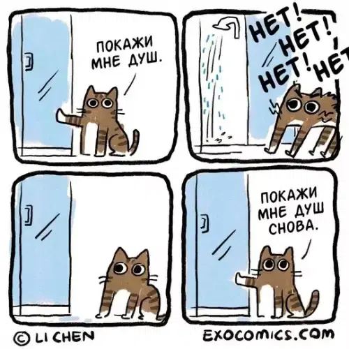 Средааааа дичкаааа