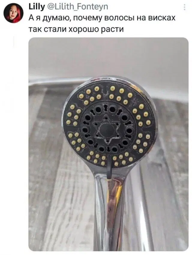 Средааааа дичкаааа