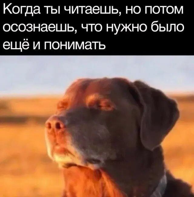 Средааааа дичкаааа