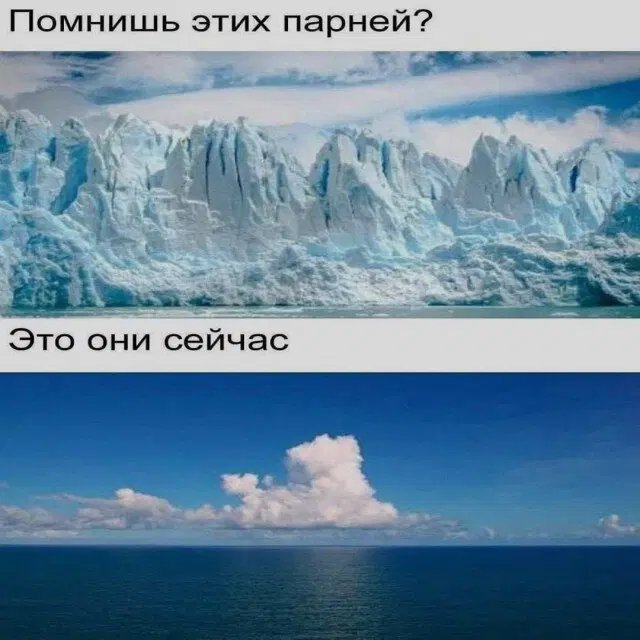 Средааааа дичкаааа