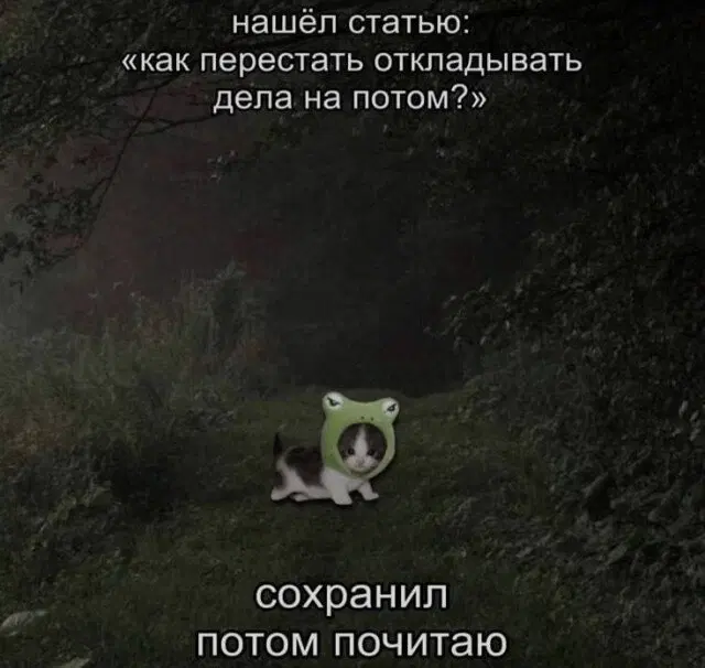 Средааааа дичкаааа