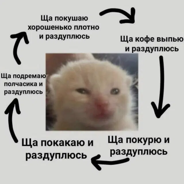 Средааааа дичкаааа